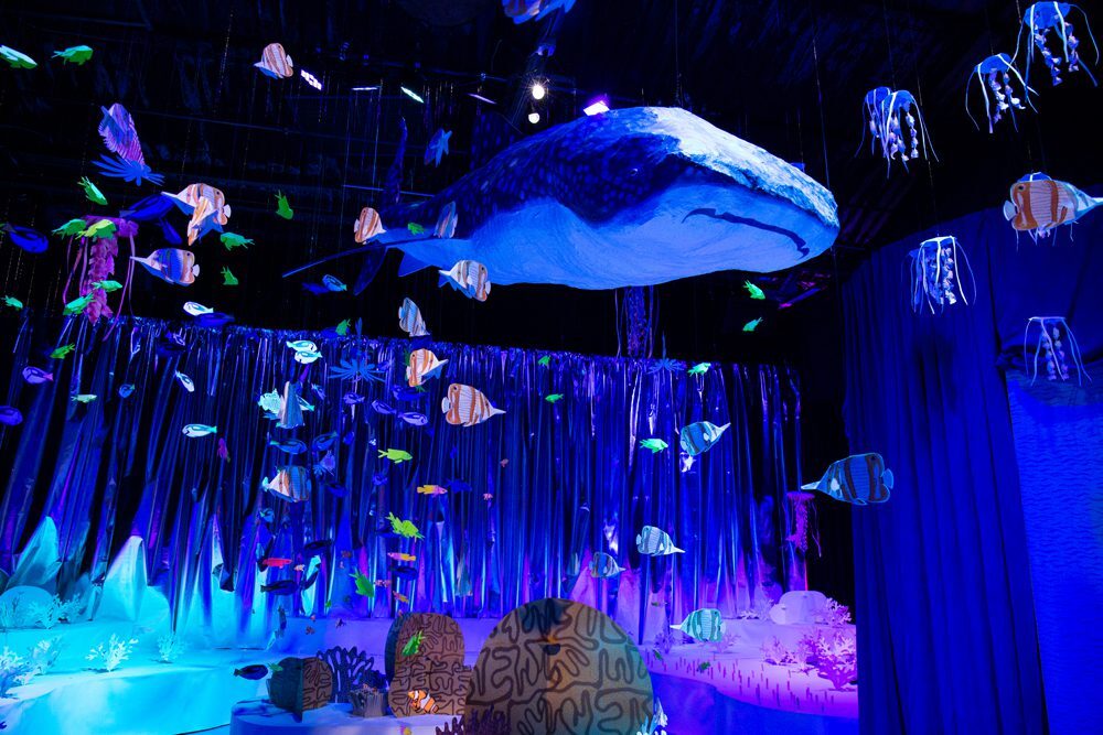 FO-Seed-Reef_2